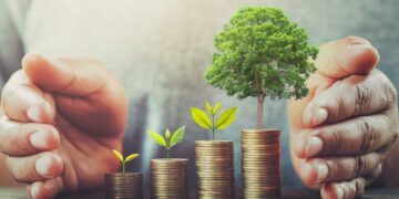 businessman-protection-money-table-with-tree-1